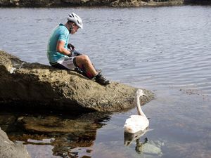 svetlozar jordanov 37