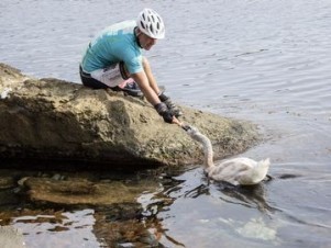 svetlozar jordanov 38